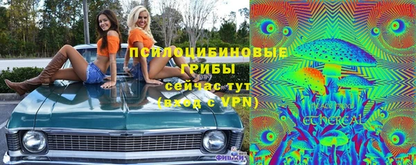 марки lsd Богородицк